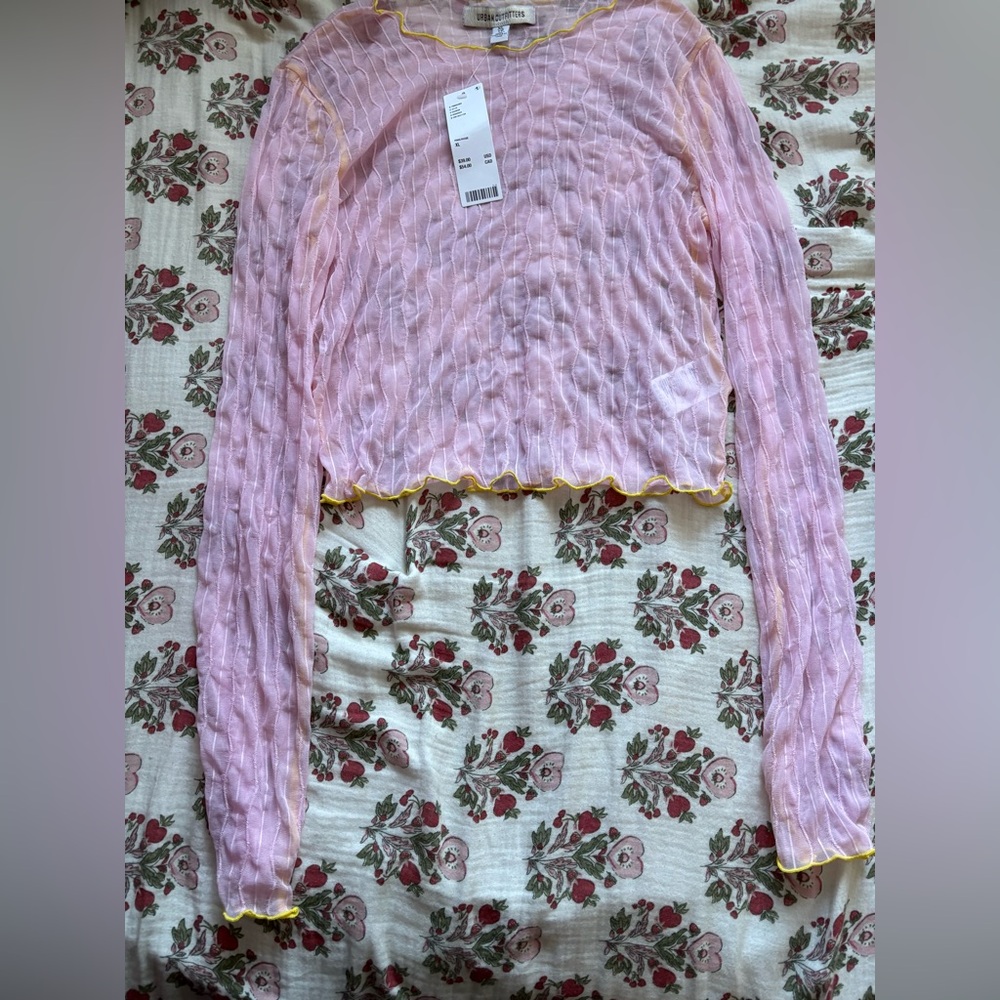 Urban Outfitters Pink Sheer Long Sleeve Blouse